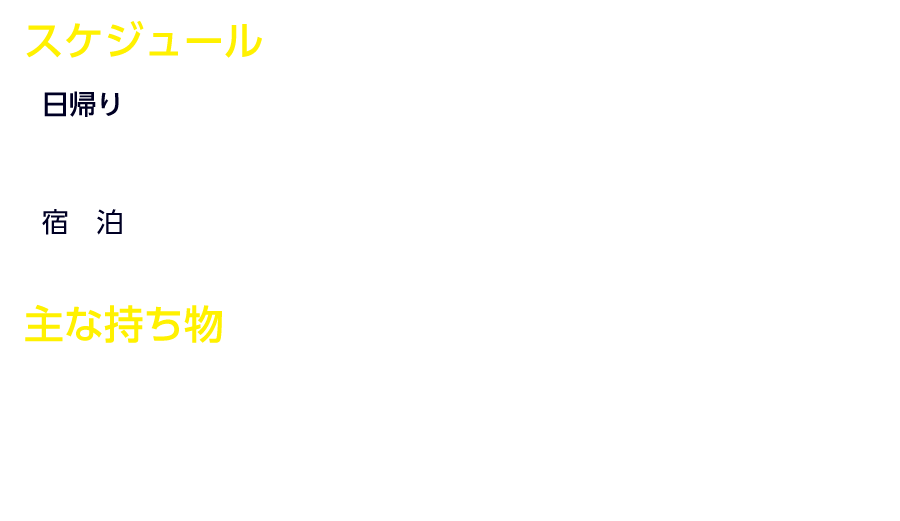 スケジュール