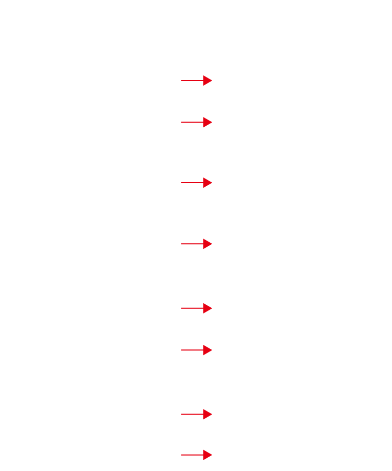 キャンプ上でのあるある