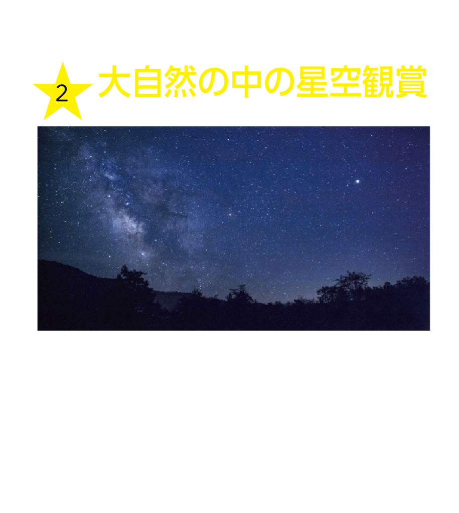大自然の中の星空鑑賞