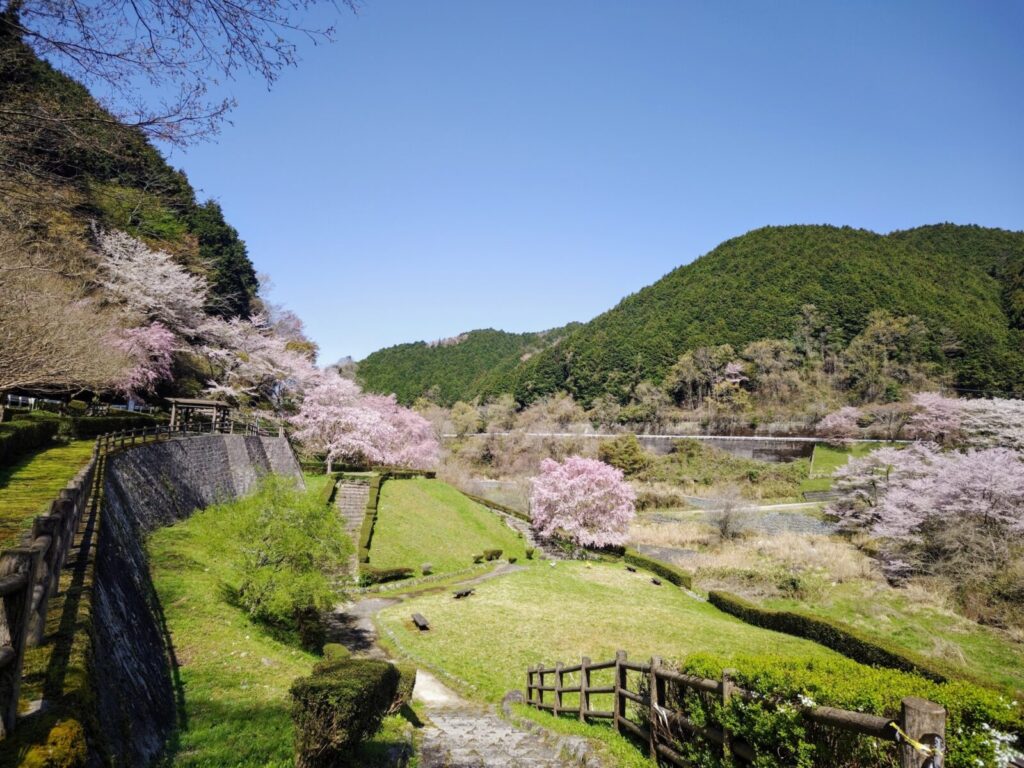 春の里山の風景