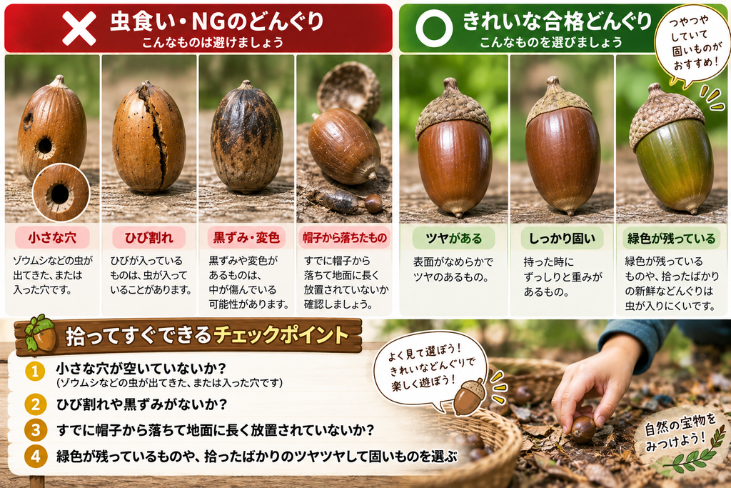 どんぐりOK NG比較画像